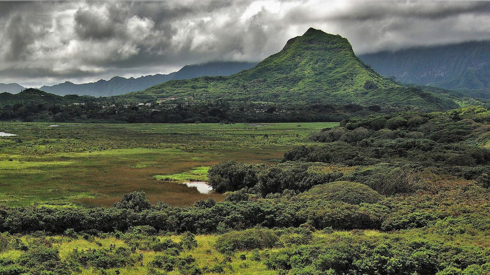 从 Kawainui 湿地看 Olomana 山